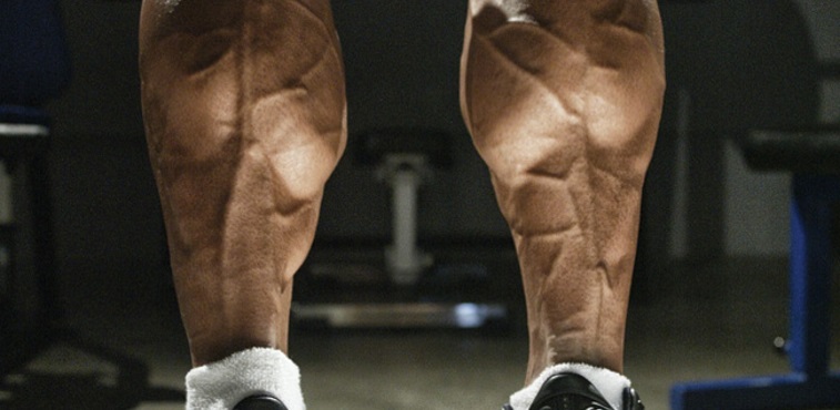 Calf-exercises-neveux-2.jpg