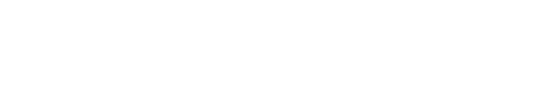 Team Transformerz